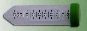 zentrifugen_roehrchen_pp_50_ml