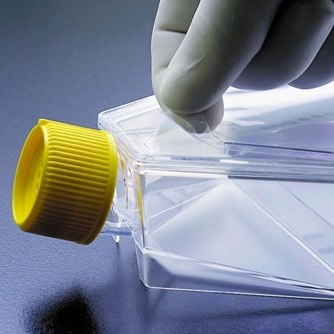 zellkulturflasche_mit_aufreiss zellkulturflasche_mit_aufreiss