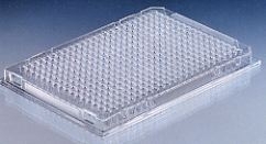 pcr_mikrotestplatte_pp_plastib pcr_mikrotestplatte_pp_plastib