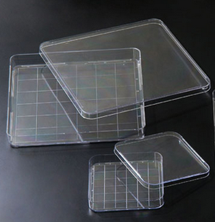 petrischalen_spl_quadratisch_2 petrischalen_spl_quadratisch_2