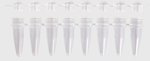 pcr_reaktionsgefaesse_ratiolab pcr_reaktionsgefaesse_ratiolab