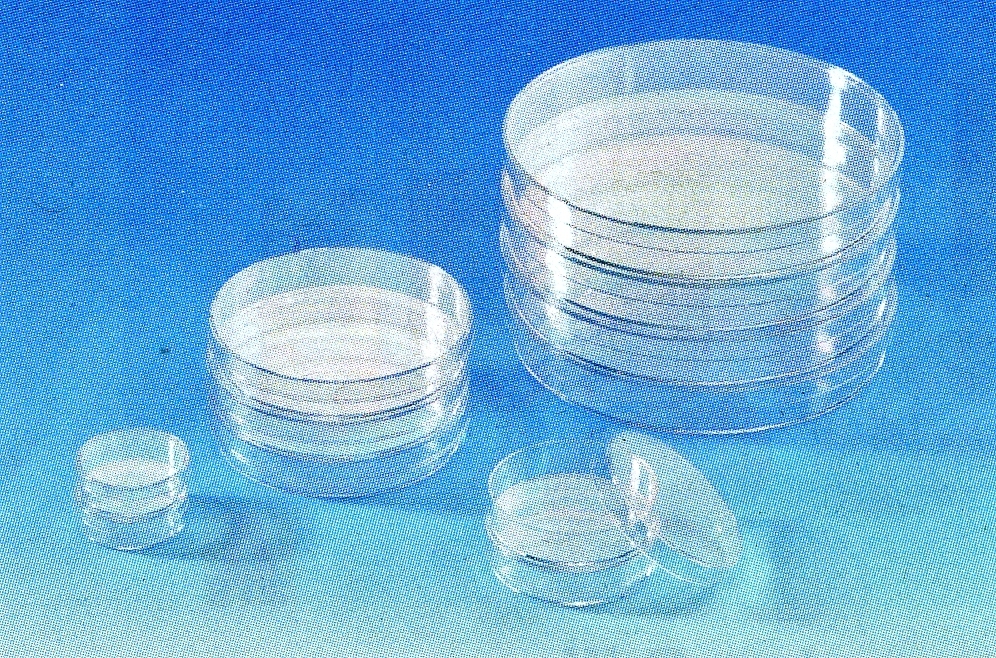 petrischalen_ps_ø_140x20_mm_mi petrischalen_ps_ø_140x20_mm_mi