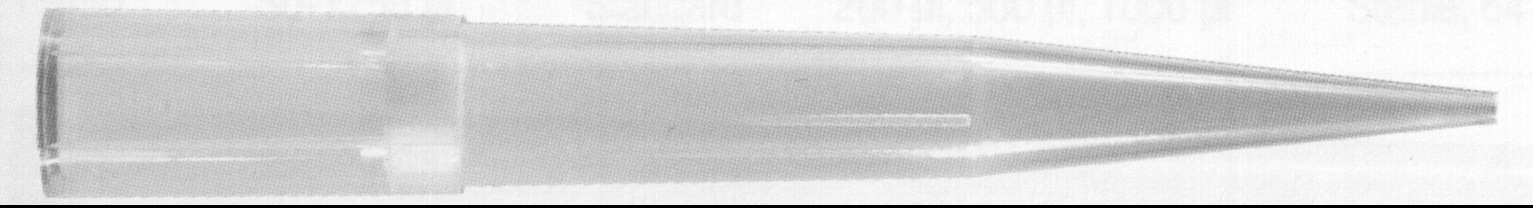 filterspitzen_multiguard_stand filterspitzen_multiguard_stand