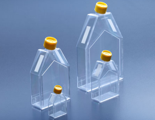 zellkulturflasche_mit_aufreiss