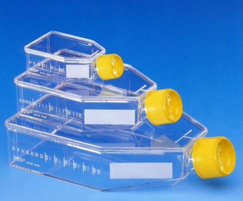 zellkultur_flasche_mit_vent_cl zellkultur_flasche_mit_vent_cl